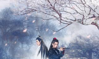 肖战王一博壁纸 肖战王一博壁纸