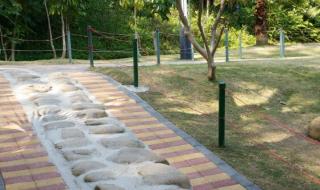 深圳羊台山攻略