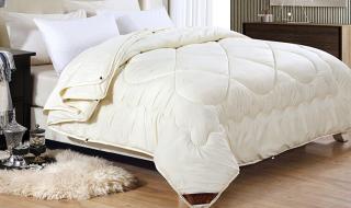 好的蚕丝被多少钱一斤 好的蚕丝被多少钱一斤